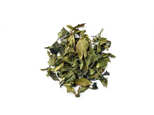 China wilde 1000 year White Tea