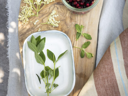 WORKSHOP: Botanische gastronomie met bijpassende tisanes